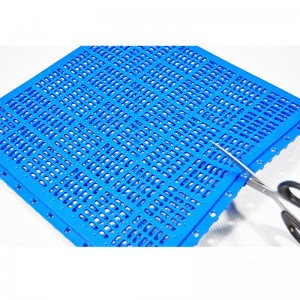 質(zhì)雅 （K-8）