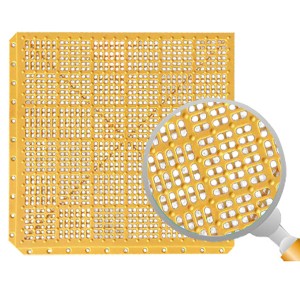 質(zhì)雅 （K-8）